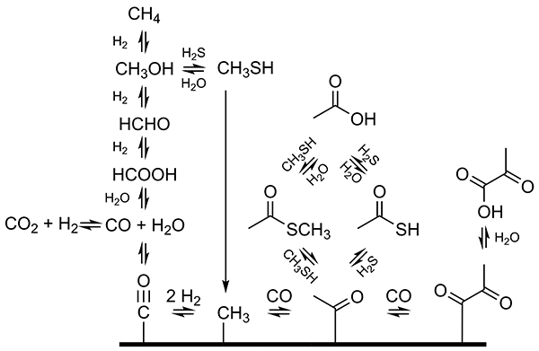 Some proposed mechanisms for the abiotic production of TAA and MTA in hydrothermal settings. The thick line represents a mineral surface (e.g., a metal sulfide or oxide).