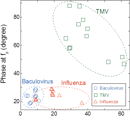 Cluster map of the detected viruses: Baculovirus, TMV, and influenza virus. The data were obtained for virus concentrations of 1011 to 1014 virions/mL