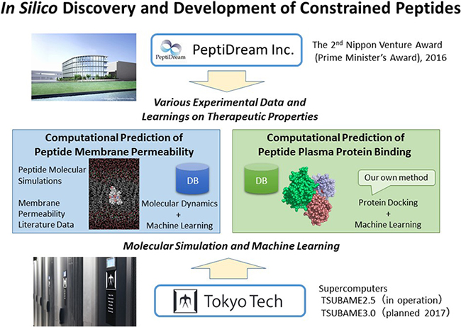 In Silico Discovery and Development of Constrained Peptides