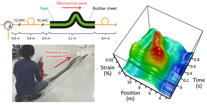 Tracking of a propagating mechanical wave. Schematic structure and photograph of the fiber under test, and the measured temporal variation of the strain distribution.