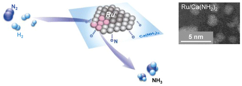 Conceptual diagram of ammonia synthesis activity at low temperature micro-pressure conditions using a catalyst with a fixed ruthenium on calcium amide (left). Electron microscopic image of the catalyst fixed ruthenium calcium amide (right).