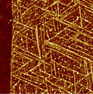 A top view of GrBP5 nanowires on a 2-D surface of graphene.