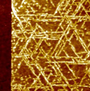 A top view image of GrBP5 nanowires on a 2-D surface of molybdenum disulfide.