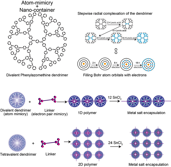 Structure of Divalent Phenylazomenthine dendrimer, Comparison of the DPA and Bohr atom model, and 1D/2D supramolecular polymer