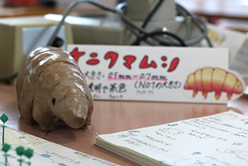 Tardigrade study booth