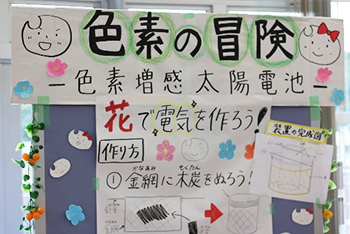 Learning materials displayed at booths