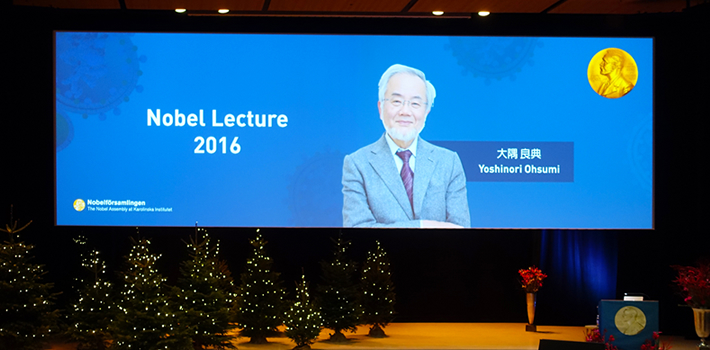 Professor Ohsumi gives Nobel Lecture in Stockholm
