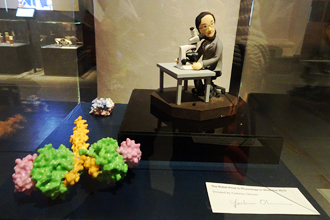 Items donated to Nobel Museum