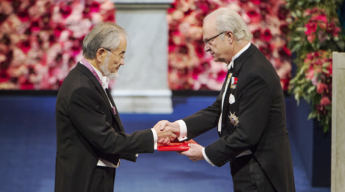 Ohsumi receiving medal and diploma from King Carl XVI Gustaf of Sweden © Nobel Media AB 2016. Photo: Pi Frisk