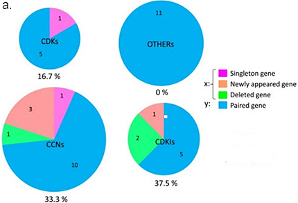 Figure a. Genes involved in the regulation of the cell cycle. The numbers of singleton, new, deleted, and paired genes and percentages of altered genes are indicated in the charts.