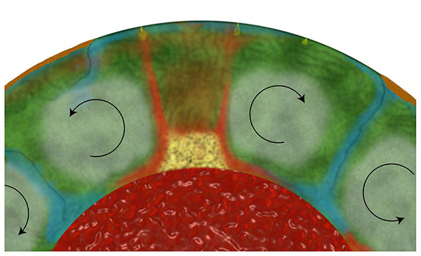 Mantle convection with inefficient mixing. Silica-poor rocks (green) circulate around coherent domains of ancient silica-rich rocks (grey).  Mantle downwellings (subducted slabs, blue) sink, and upwellings (light red) rise, through conduits between these domains. Mantle convection is dominantly driven by heating from the hot core (dark red) below.