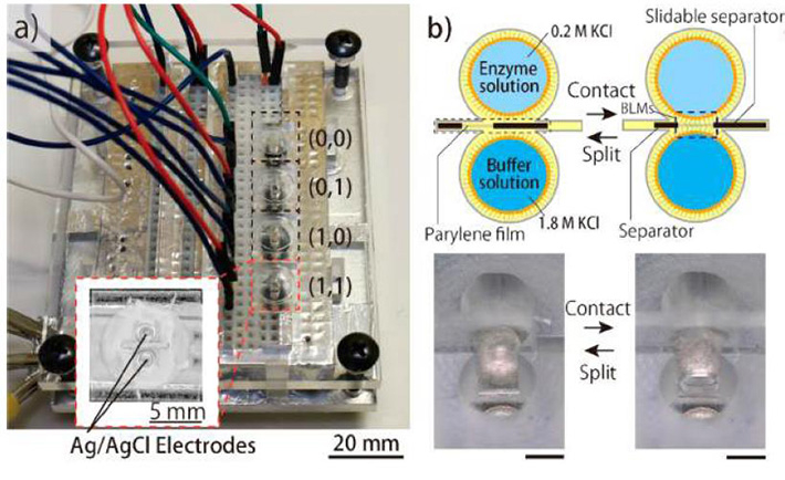Micro-device used for DNA computing and nanopore measurement. A droplet was created as an artificial cell membrane model in the device, and DNA computing and nanopore measurement were successfully performed at the same time in the droplet.