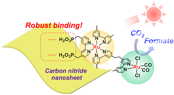 Schematic of solar fuel production by semiconductor photocatalyst, Researchers observed robust binding between the ruthenium metal complex and carbon nitride nanosheets under visible light in aqueous solution. © Angew. Chem.