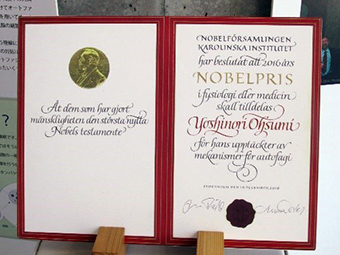 Nobel Prize medal replica
