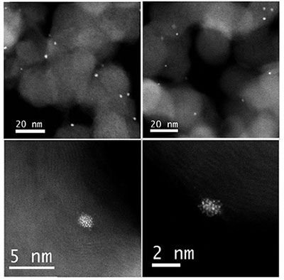 MNCs high-magnification image captured by scanning transmission electron microscope