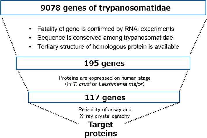 Search method for target proteins using iNTRODB.