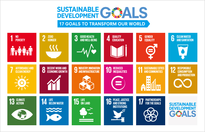 JSPSD supports the Sustainable Development Goals.