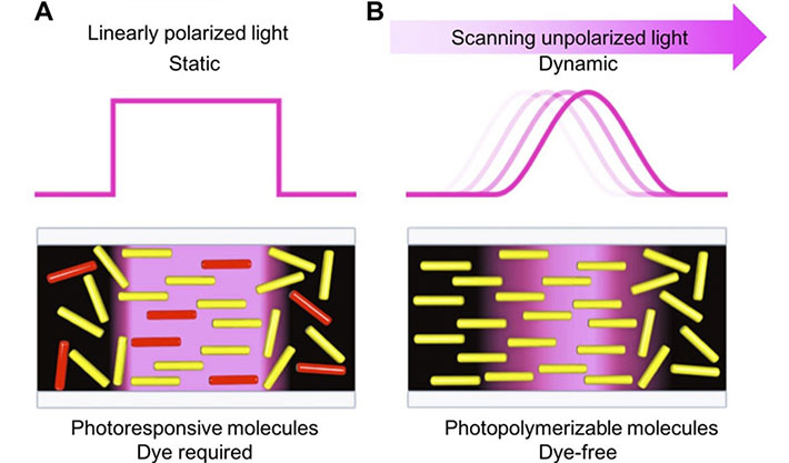 Schematic representations of photoirradiation for controlling molecular alignment. 