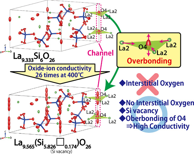 Crystal structures of the apatite-type oxide-ion conductors La9.333Si6O26 and La9.565(Si5.826□0.174)O26 determined from the single-crystal neutron diffraction studies.