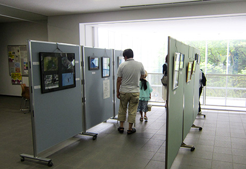 Exhibition of wildlife population in campus surroundings