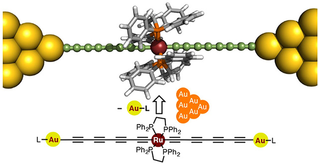 Figure 1. Structure of the proposed metallapolyyne molecular wire