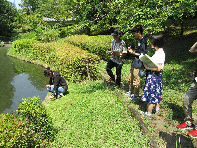 Measuring PM2.5 concentration at Japanese garden