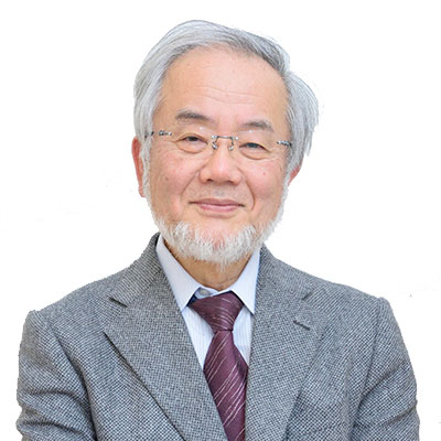 Comments from Honorary Professor Ohsumi