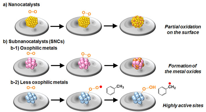 Figure 2. Mechanism behind the superior catalytic activity of SNCs.