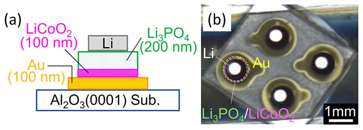 Figure 1. Structure of the thin-film all-solid-state batteries