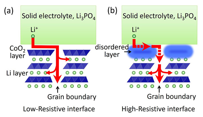 Figure 2. Conduction path of Li ions at the solid-electrolyte/electrode interface
