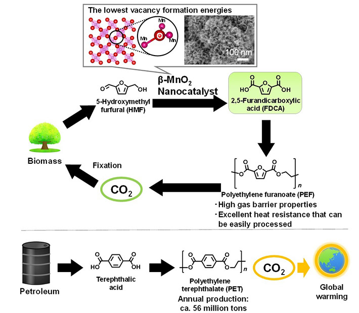 Figure 1. Synthetic routes to PEF from biomass resources and to PET from fossil resources