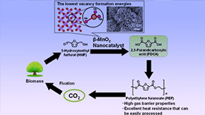 Green catalysts with Earth-abundant metals accelerate production of bio-based plastic