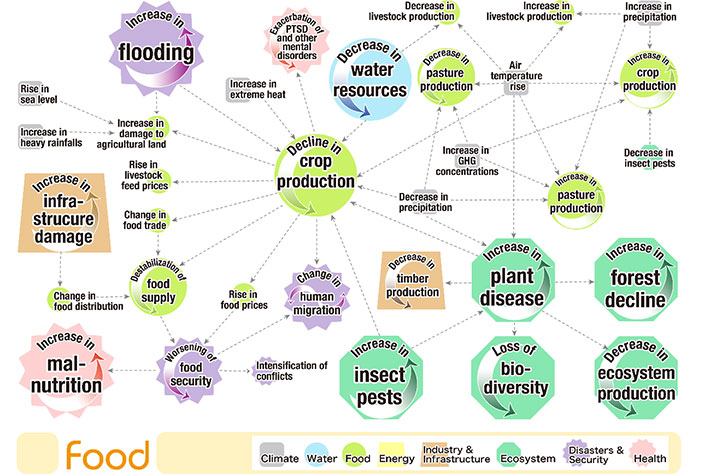 Map of climate risk interconnections related to the food sector