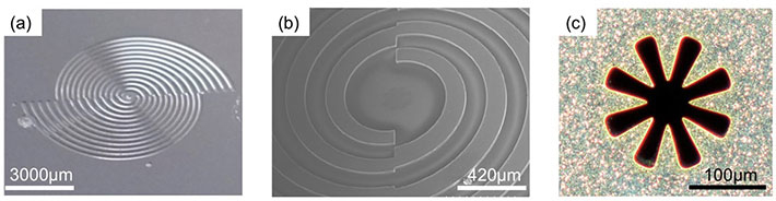 Images of the spiral plasmonic structure