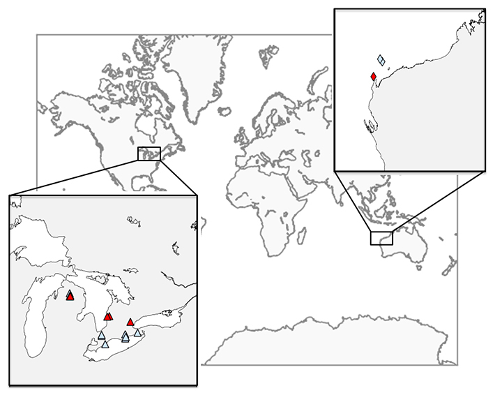 Figure 2. Natural gas reservoirs examined in the study. Red symbols indicate reservoirs where biodegradation was detected. Credit: Alexis Gilbert, Tokyo Tech