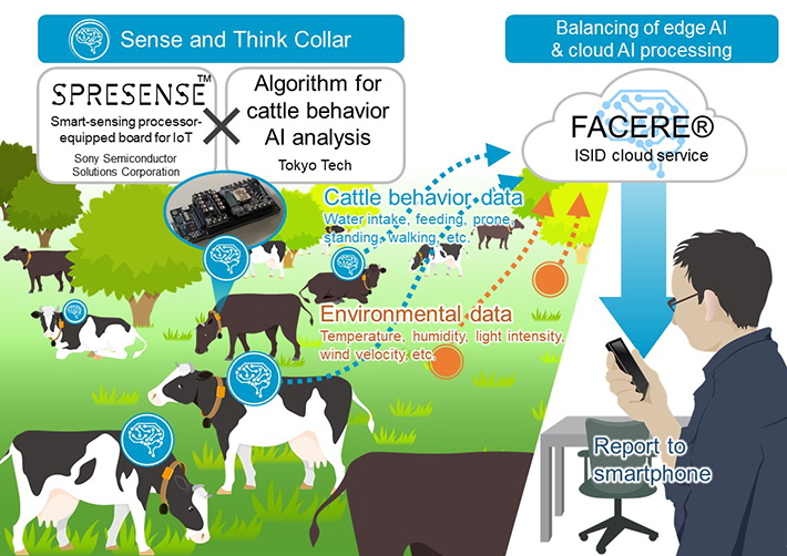 Using Edge AI to listen to the "silent voices" of cattle