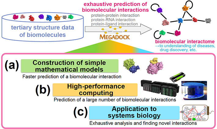 Development of exhaustive biomolecular interaction prediction technology