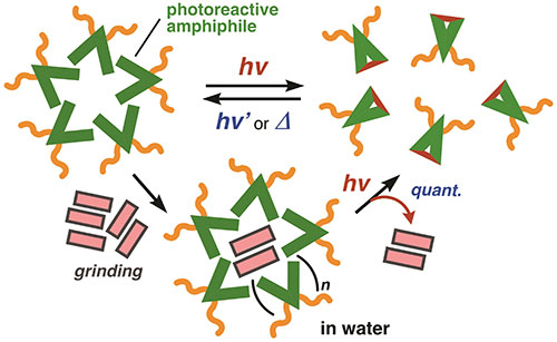 The nanosized container quantitatively releases the cargo upon light-stimulus