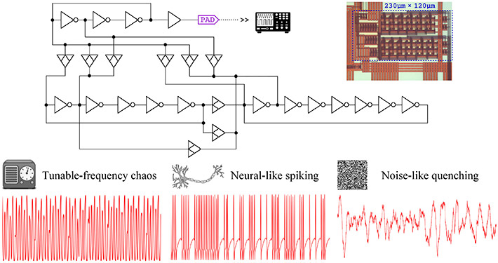 Figure 2. One design, a myriad of possiblities