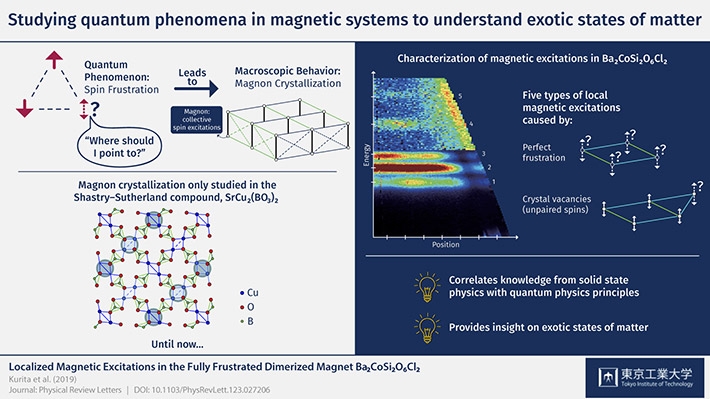 Studying quantum phenomena in magnetic systems to understand exotic states of matter