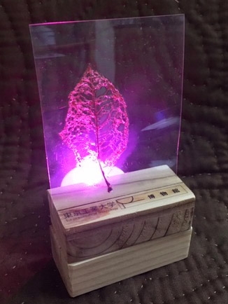 Illuminating bookmark using stand and candle