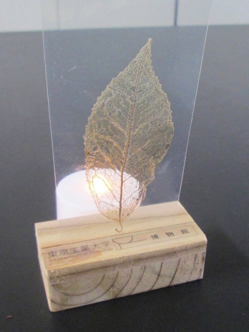 Leaf bookmark illuminated