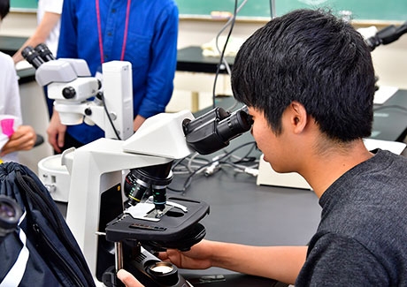 Lab at School of Life Science and Technology