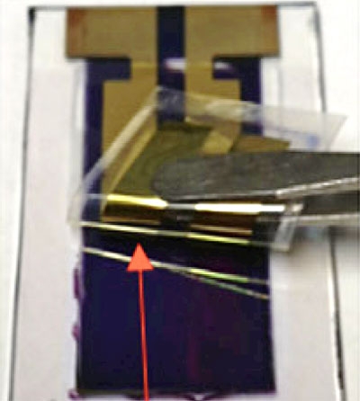 Fabrication of a photoelectrochemical device