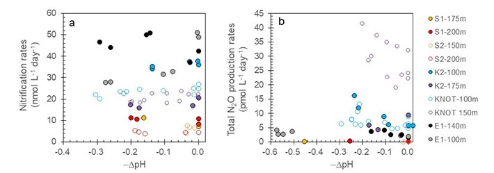 Results of acidification experiments. Horizontal axis shows decrease of pH whereas vertical axis shows rate of nitrification or N2O production. Symbols with warm and cold colors respectively denote results for subtropiccal and subarctic sites. Decrease in pH is accompanied by decrease in nitrification rate and increase in N2O production rate. 