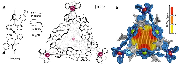 Figure 1. Chemical structure of an antiaromatic-walled nanospace.