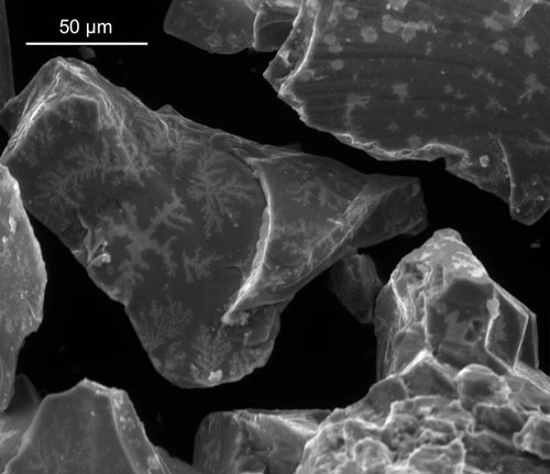 Fractals: Under ultra-high magnification, the researchers found distinctive fractal shapes spreading along pyrite grains after their chemical soups went through multiple generations. The researchers believe these fractals are salty deposits induced to form by a thin layer of organic material spread along the mineral. Credit: David Baum Lab