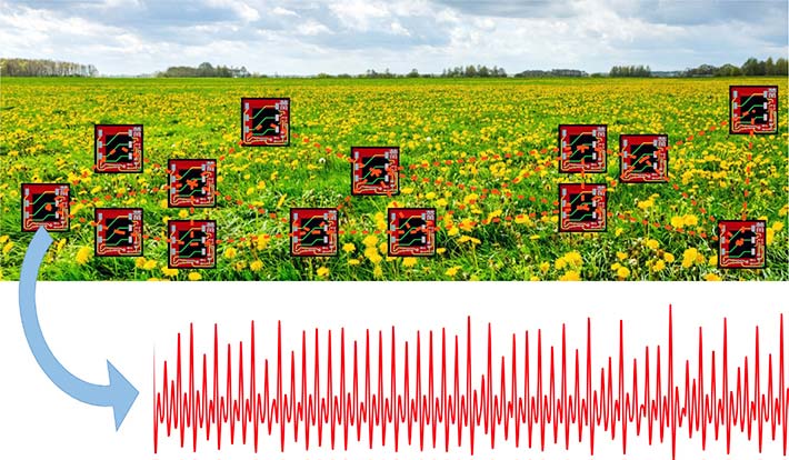 Figure 4. Example of a future application / In this artist's impression, light-sensitive nodes are scattered over a cultivated field. By virtue of the coupling mechanism, each one is able to interact only with those closer to it, but collectively a coherent activity emerges. Because the latter is similar among the nodes, it is sufficient to record a signal from one of them in order to obtain an estimate of the illumination level over the entire surface. This situation, wherein "the whole is contained in each part" makes it easier to conduct a measurement, compared to having to access each sensor directly. (Image usage restrictions: None, Image credit: Ludovico Minati)