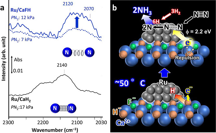 Figure 2. Spectroscopic measurement results and possible reaction mechanism