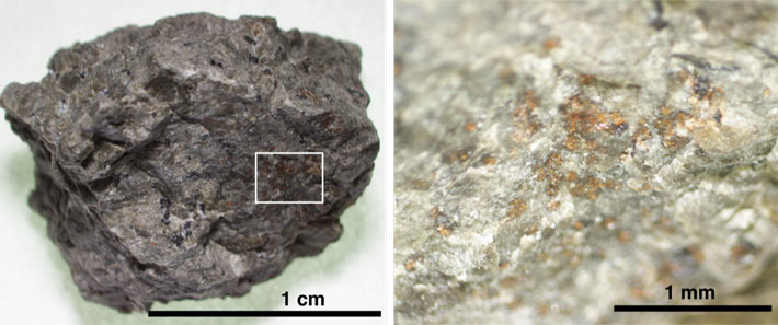 Figure 1. A rock fragment of Martian meteorite ALH 84001 (left). An enlarged area (right) shows the orange-coloured carbonate grains on the host orthopyroxene rock. Credit: Koike et al. (2020) Nature Communications.